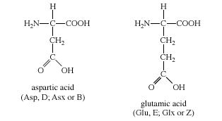 amino acid definition structure