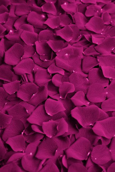 1000 free premium backgrounds