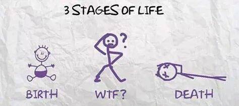 3 stages of life