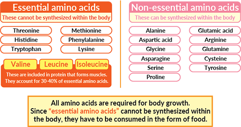 the function of bcaas