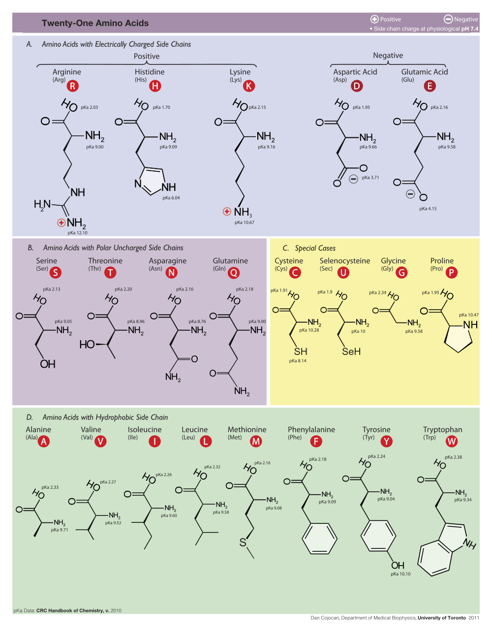 amino acids