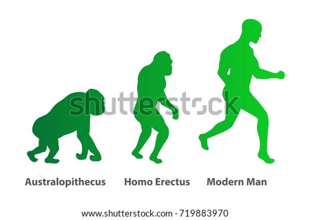 illustration human evolution process