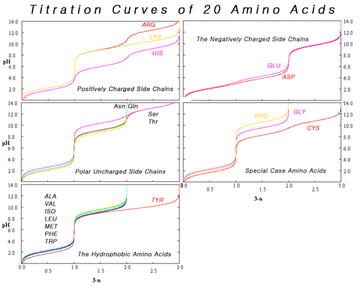 amino acid wikipedia