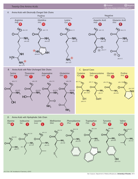 file molecular structures of
