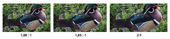 vistavision wikipedia