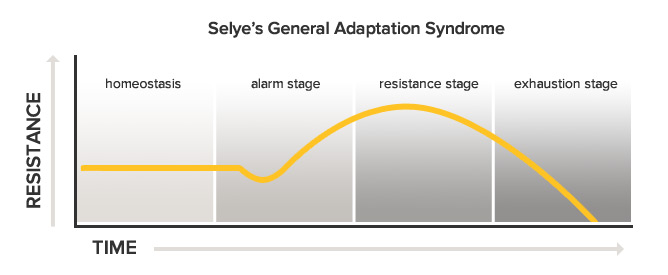 general adaptation syndrome gas