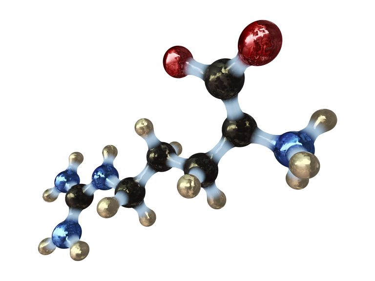 amino acid definition and