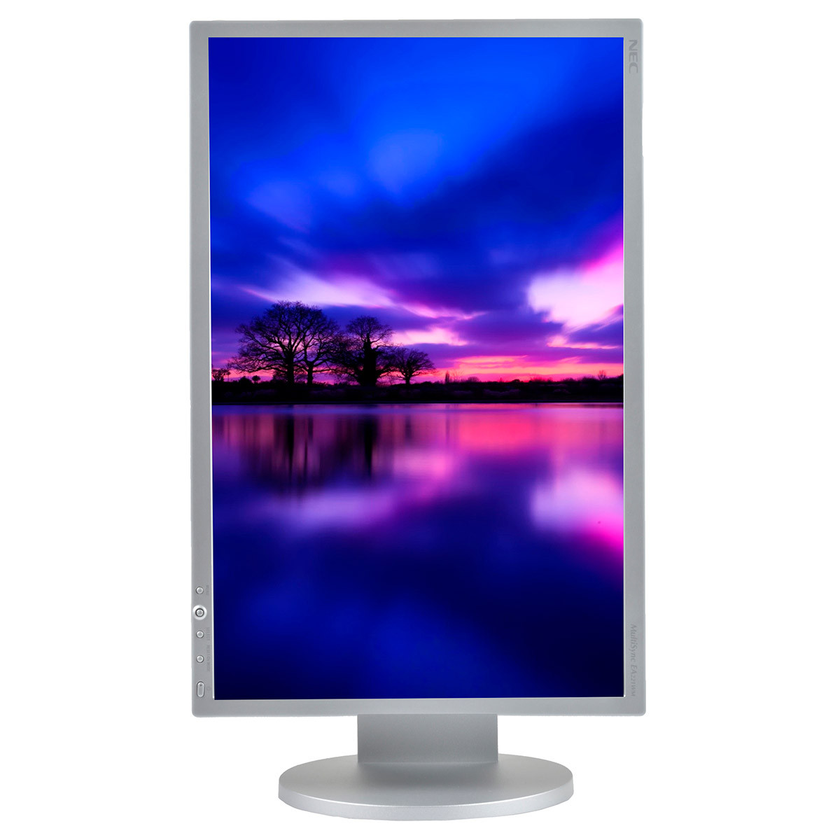 monitor nec multisync ea221wme