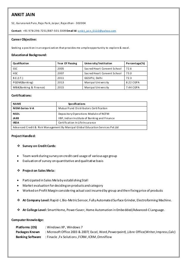 resume ankit jain icici bank deputy manager band ii