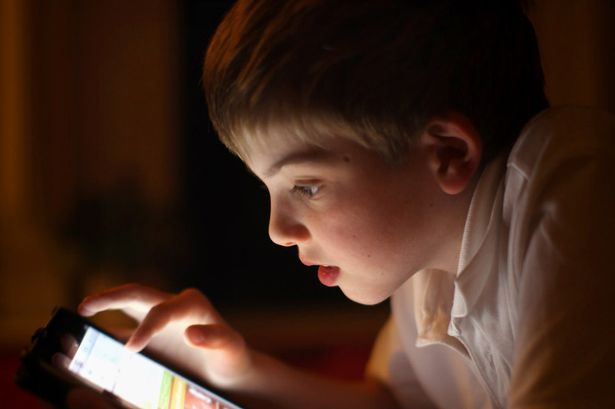 the secret cyber life
