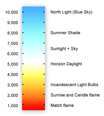 the meaning of color