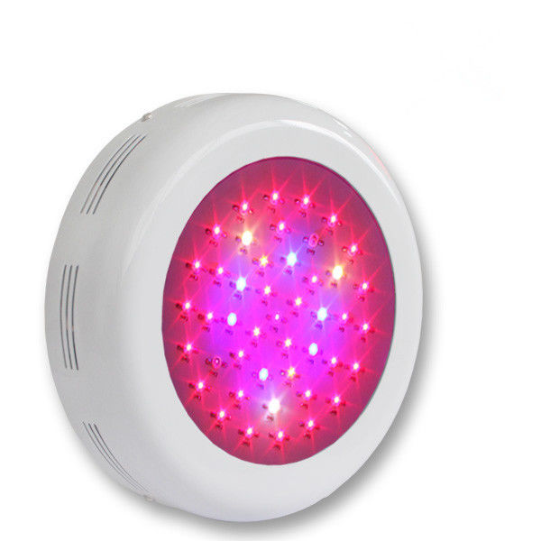 full spectrum plant light