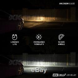 h11 2in1 bright 6000k