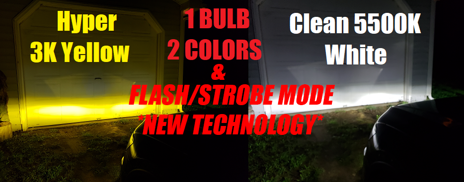 dual color led fog