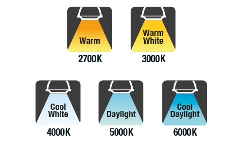 warm white or cool