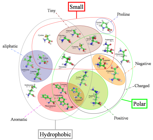aaa amino acids alignments