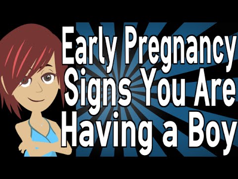 early pregnancy signs you