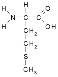 medical physiology basic biochemistry