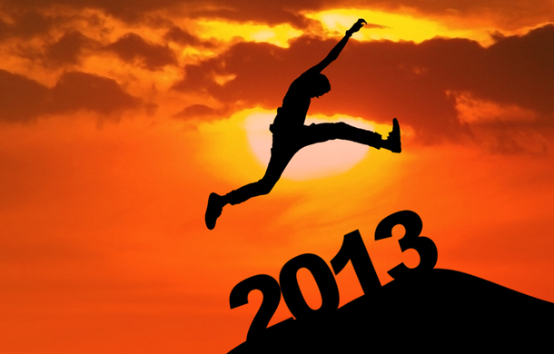 2013 year in brief