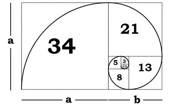 4 x 3 3