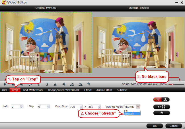 dvd ripping solving aspect