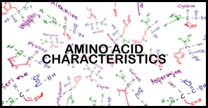 understanding amino acid side