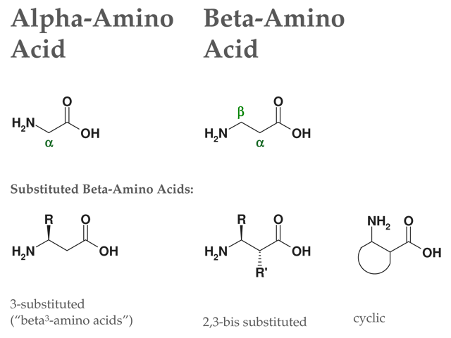beta2 amino acids synthesis